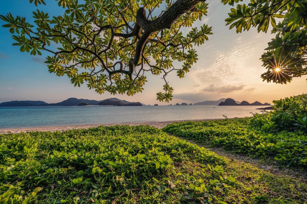 sunset, beautiful nature, nature background, sand, beach, islands, leaf, subtropical, okinawa, japan, landscape, nature, hd wallpapers, hd wallpaper, nature wallpaper