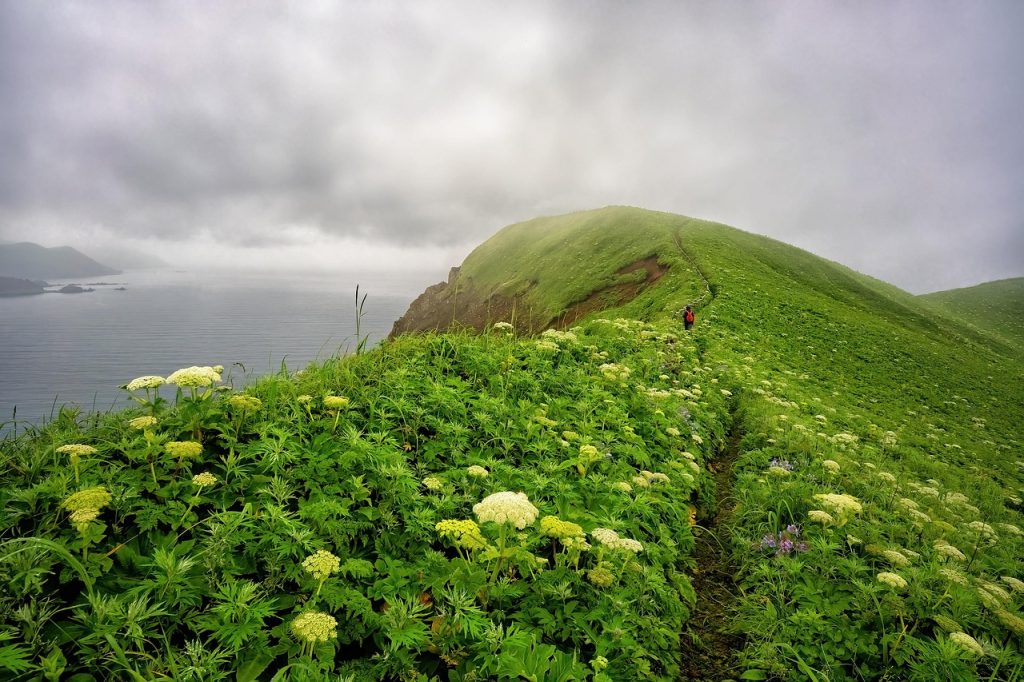 cape, pasture, beautiful nature, sea, rebun island, nature background, nature, landscape, trail, cloud, fog, flower wallpaper, flowers, hokkaido, japan, hd wallpaper, beautiful flowers, flower background, nature wallpaper